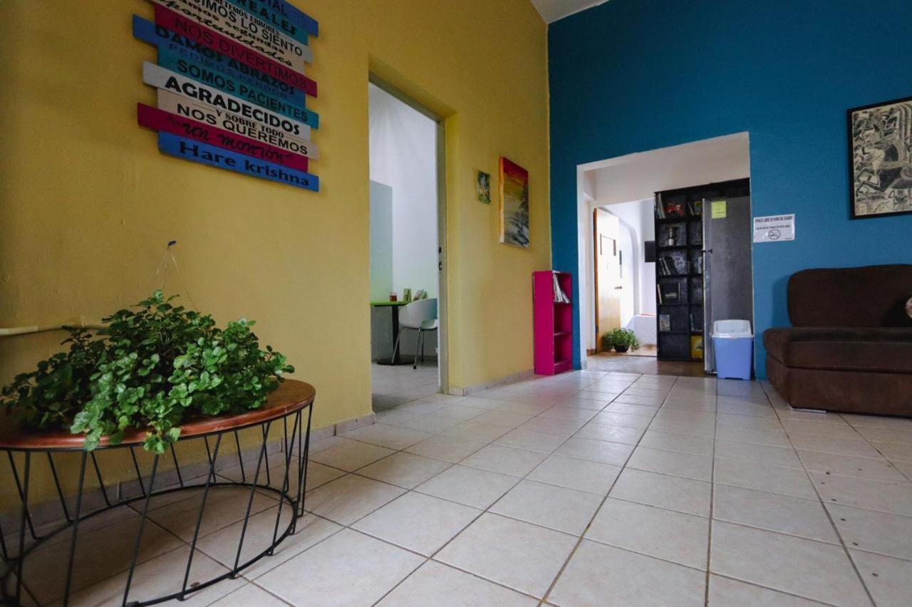 barrio antiguo hostel Monterrey